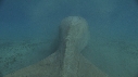 DUGONG, CARANGUE
