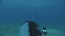 DUGONG, REMORA, PLONGEUR