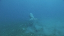DUGONG
