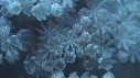 CORAIL