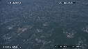 DAUPHINS COMMUNS, CAVALERIE