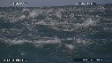 DAUPHINS, CAVALERIE