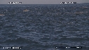 DAUPHINS, CAVALERIE