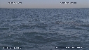 BALEINE A BOSSE