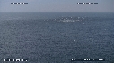 BAIT BALL, FOUS, DAUPHINS, BALEINE