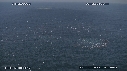 BAIT BALL, FOUS, DAUPHINS, BALEINE