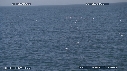 DAUPHINS, CAVALERIE