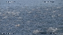 DAUPHINS, CAVALERIE