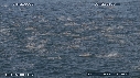 DAUPHINS, CAVALERIE
