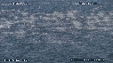 DAUPHINS, CAVALERIE
