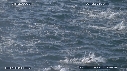 DAUPHINS, CAVALERIE