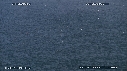 BAIT, BALL, FOUS, DAUPHINS