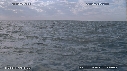 DAUPHINS, CAVALERIE