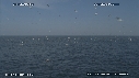 FOUS, DAUPHINS