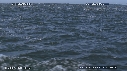 DAUPHINS, CAVALERIE
