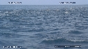 DAUPHINS, CAVALERIE