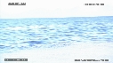 REQUIN BLANC, OTARIE