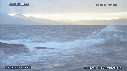 VAGUES, OTARIES