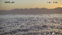 OTARIES