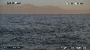 REQUIN BLANC, OTARIE