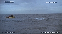 REQUIN BLANC, OTARIE