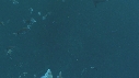 REQUINS POINTE NOIRE