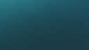 REQUINS POINTE NOIRE, PLONGEUR