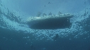 REQUINS POINTE NOIRE, PLONGEUR, ZODIAC