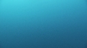 REQUINS TIGRE, PLONGEUR