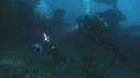 REQUINS RAGGAD TOOTH, PLONGEUR