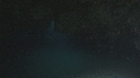 REQUINS RAGGAD TOOTH