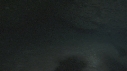 REQUINS RAGGAD TOOTH
