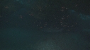 REQUINS RAGGAD TOOTH