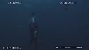 REQUINS POINTE NOIRE, PLONGEUR