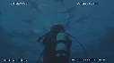REQUINS POINTE NOIRE, PLONGEUR