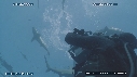 REQUINS POINTE NOIRE, PLONGEUR