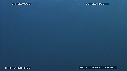 SARDINES, DAUPHINS, FOUS