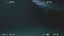 REQUINS RAGGAD TOOTH