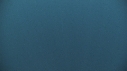 BALEINE BLEUE