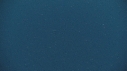 KELP, POISSONS BLEUS
