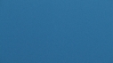 REQUIN PEAU BLEUE