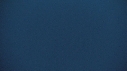 BALEINE BLEUE