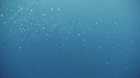 SARDINES