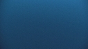 BALEINE BLEUE