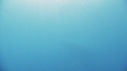 BALEINE BLEUE