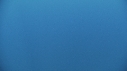 BALEINE BLEUE