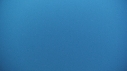 BALEINE BLEUE