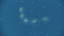 SALP COLONIE