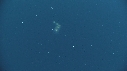 SALP COLONIE