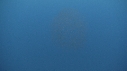 KRILL, CHINCHARD